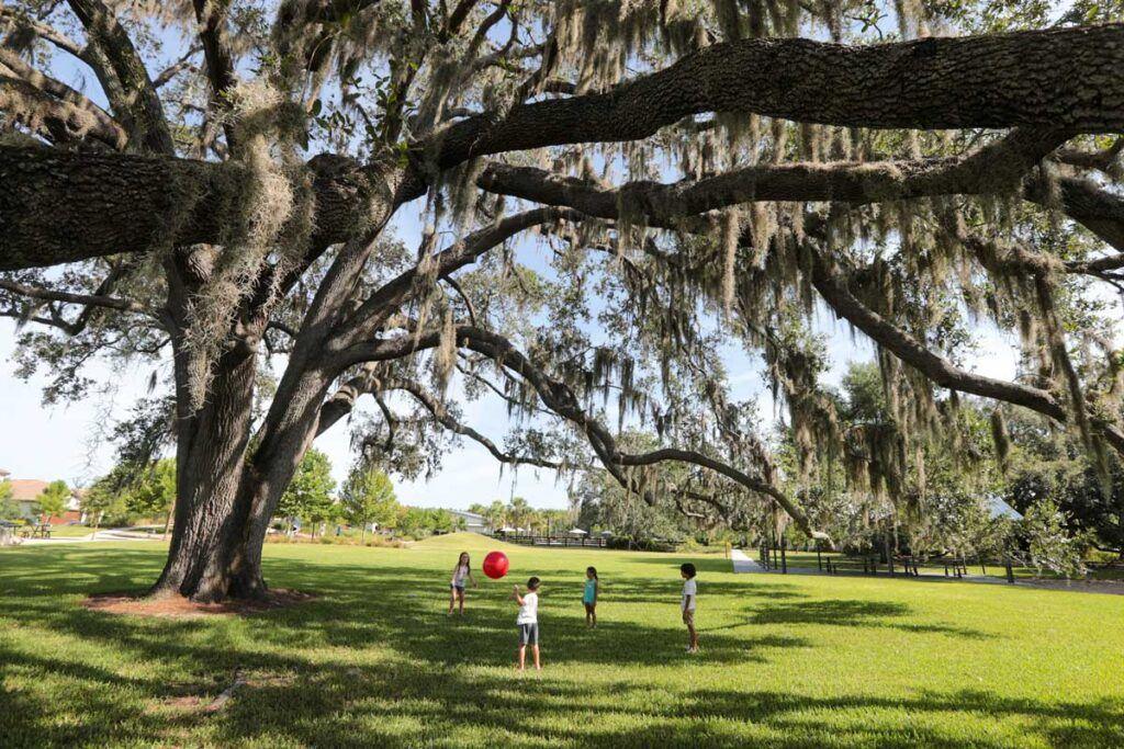 Children playing under a sprawling moss-draped live oak at Cunningham Park.